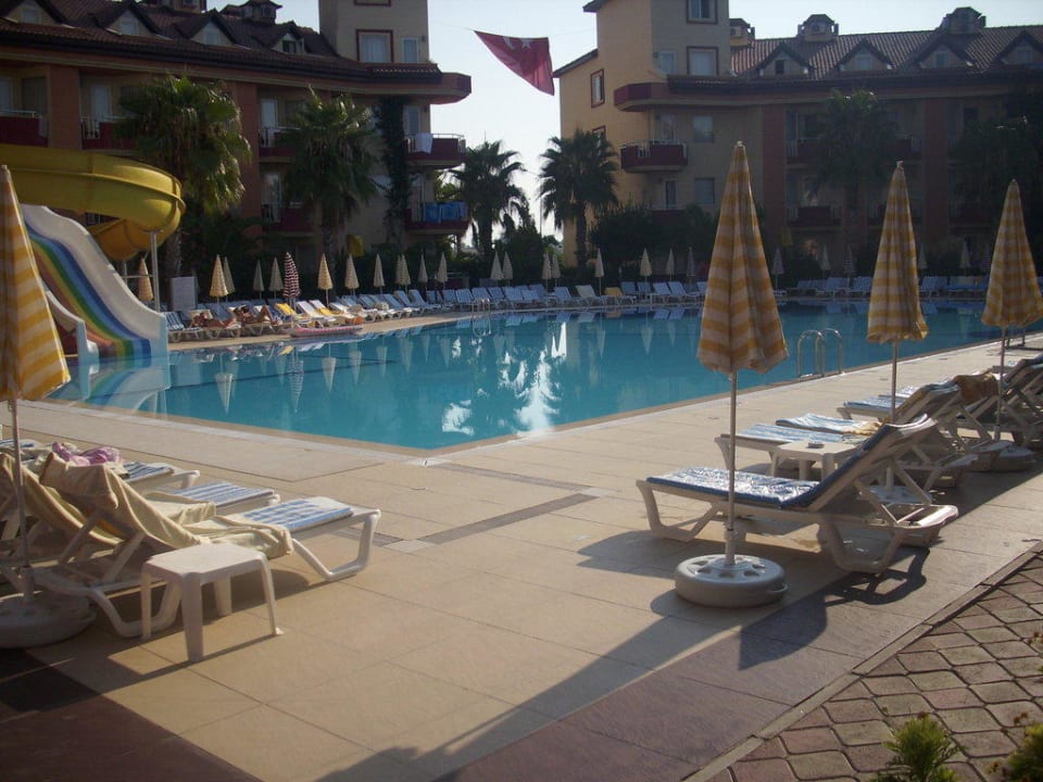 Pool Hotel Orfeus Park
