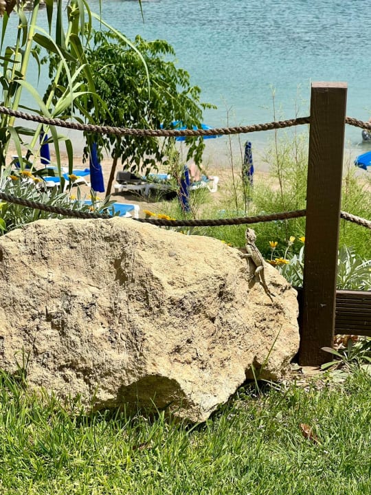 Strand Crystal Springs Beach Hotel