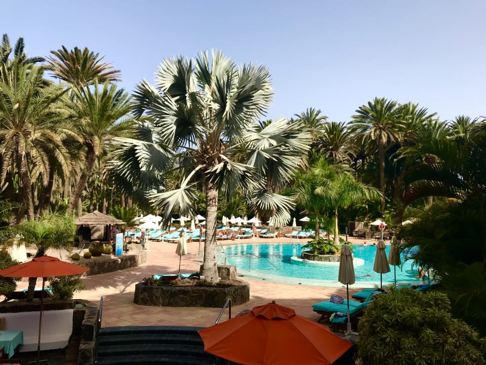 Ausblick Seaside Hotel Palm Beach