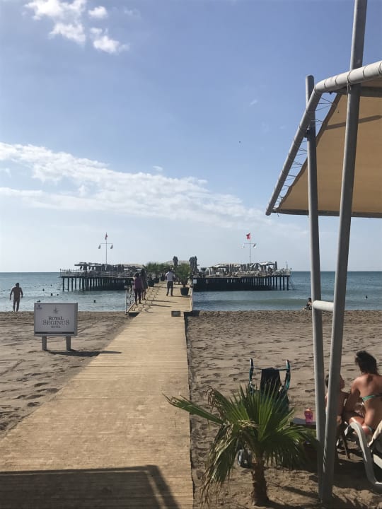 Strand Royal Seginus