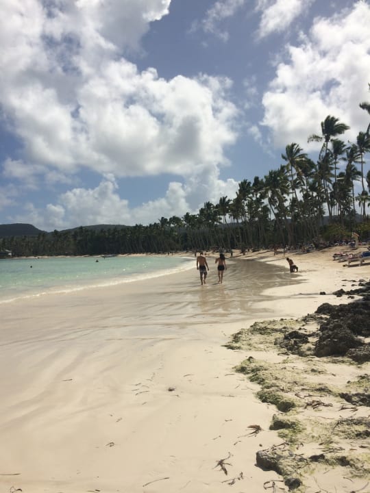 Strand Wyndham Alltra Samana