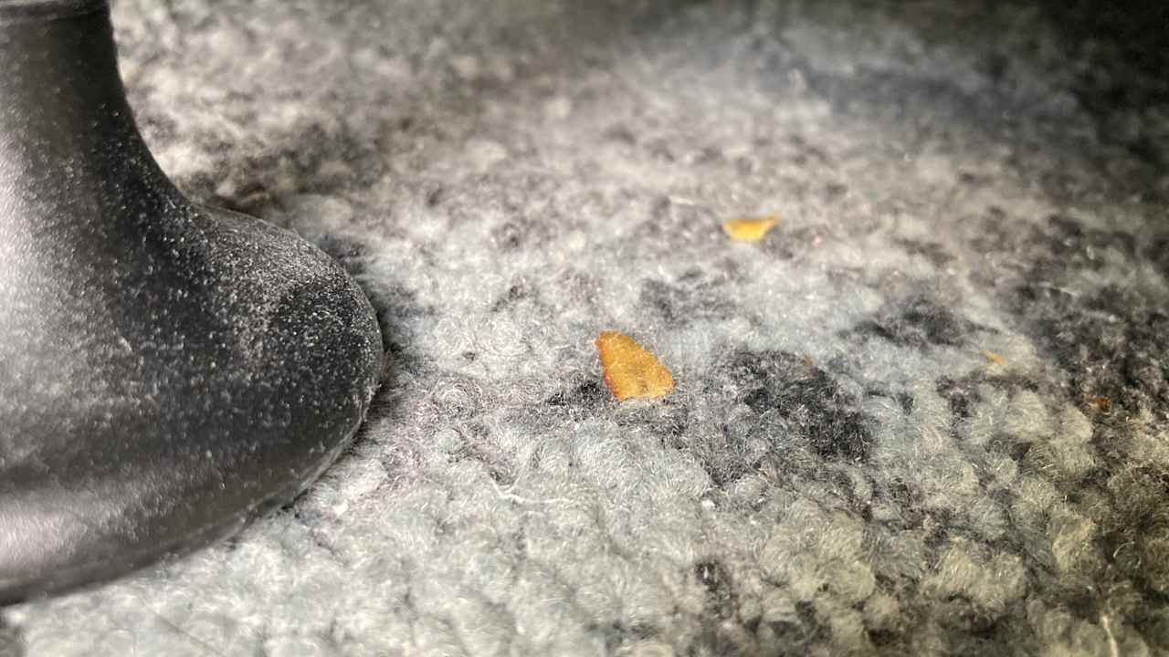 Zimmer Holiday Inn Express Auckland City Centre