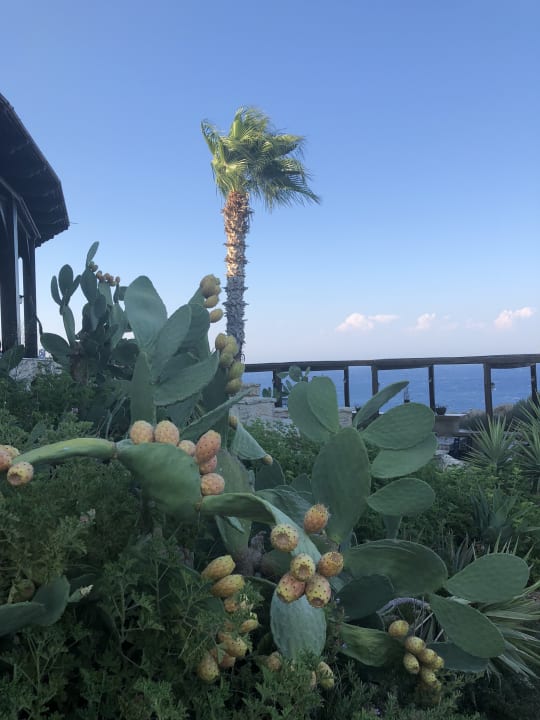 Gastro Hotel Kalithea Horizon Royal