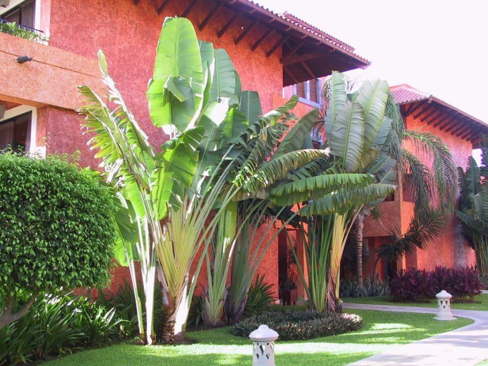 Hotel Bungalows Iberostar Waves Paraiso Beach