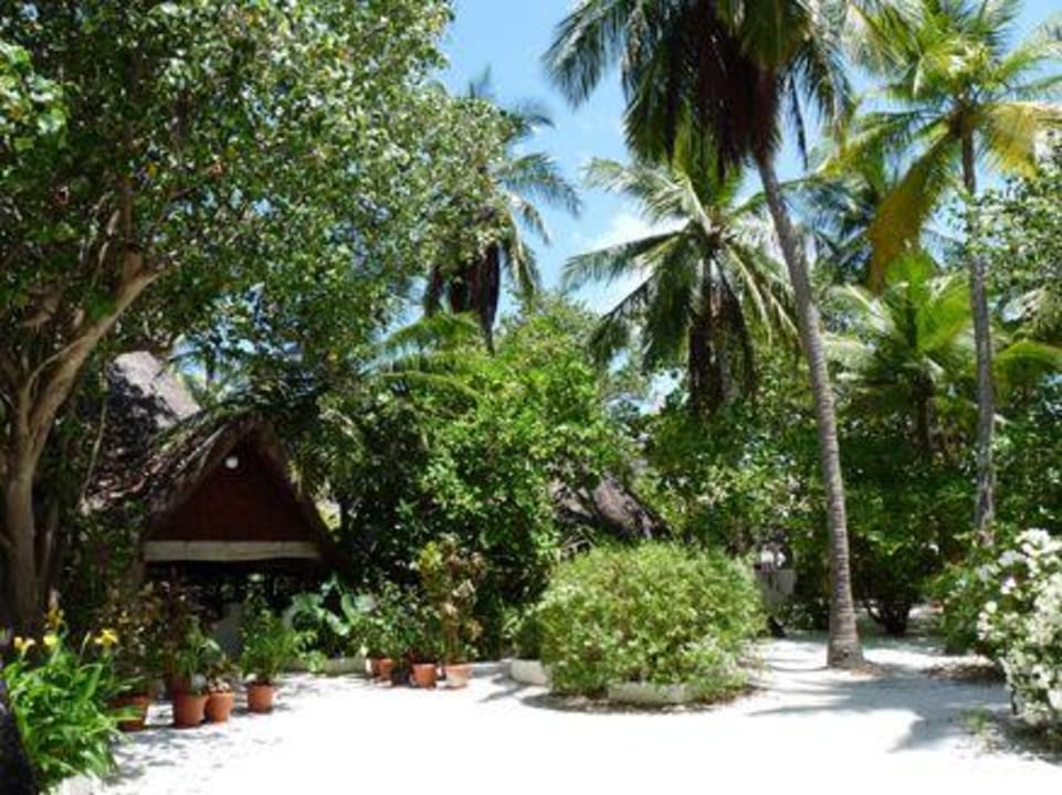 Eingang Restaurant Thulhagiri Island Resort