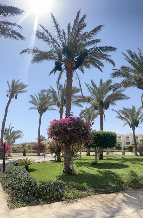 Gartenanlage Brayka Bay Resort