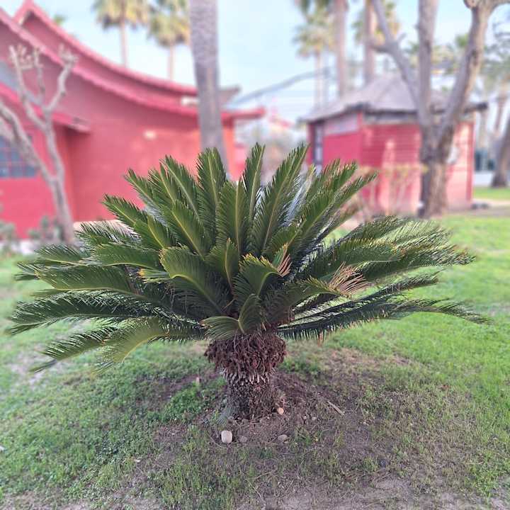 Außenansicht Siam Elegance Hotels & Spa