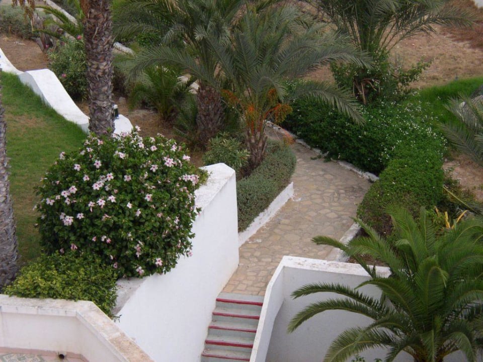 Aussicht von unserem Zimmer Hotel Sunnydays L'Albatros/Albatros