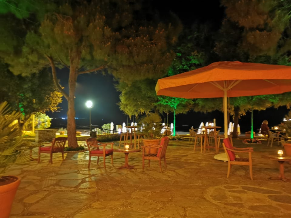 Sonstiges Arum Barut Collection