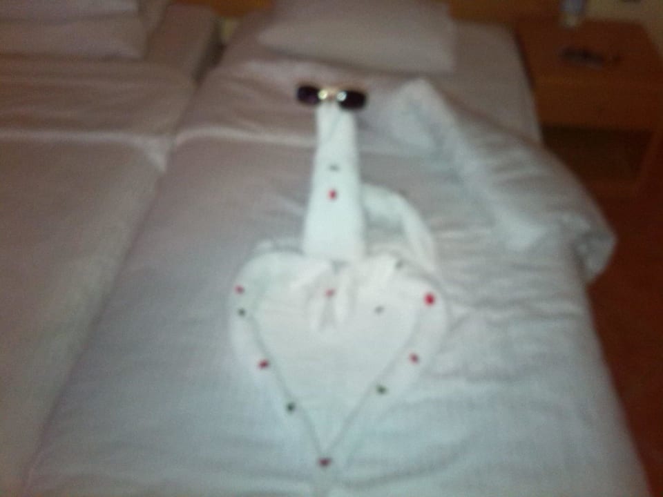 Netter Roomboy Ghazala Gardens