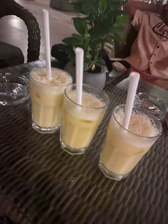 Gastro Balmy Foresta