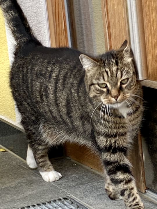 Sonstiges Wohlfühlurlaub am Bauernhof Unterbichl