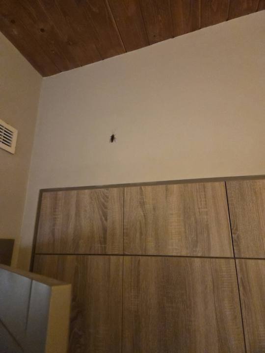 Zimmer Iberostar Waves Mehari Djerba