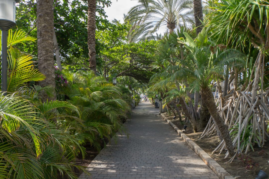 Gartenanlage Lopesan Costa Meloneras, Resort & Spa