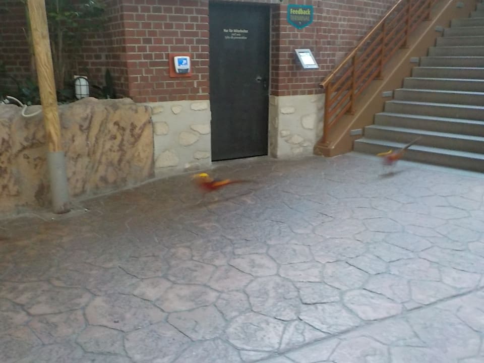 Sonstiges Tropical Islands Resort - Zelte