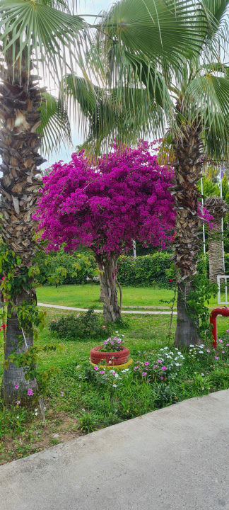 Gartenanlage Asteria Collection Side