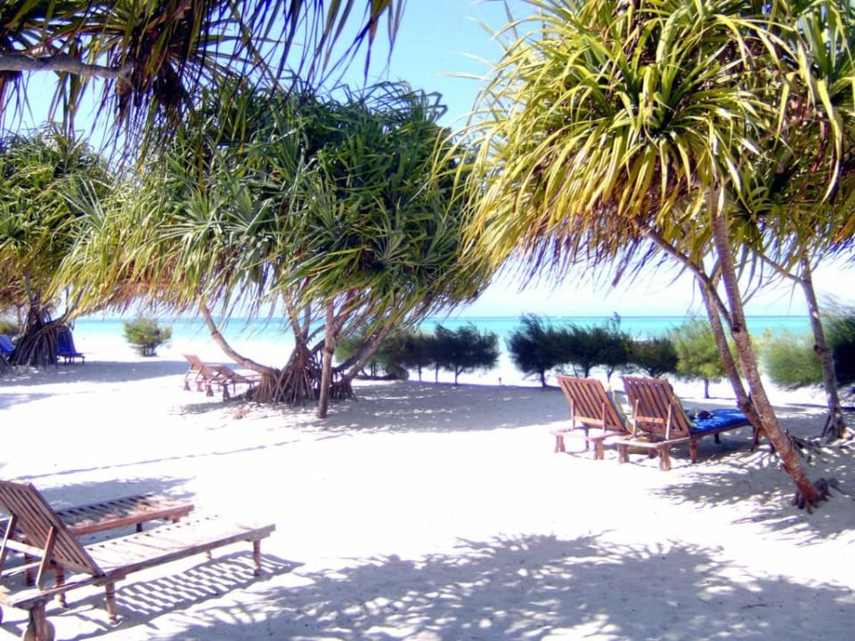 Schatten, Schatten, Schatten Neptune Pwani Beach Resort & Spa