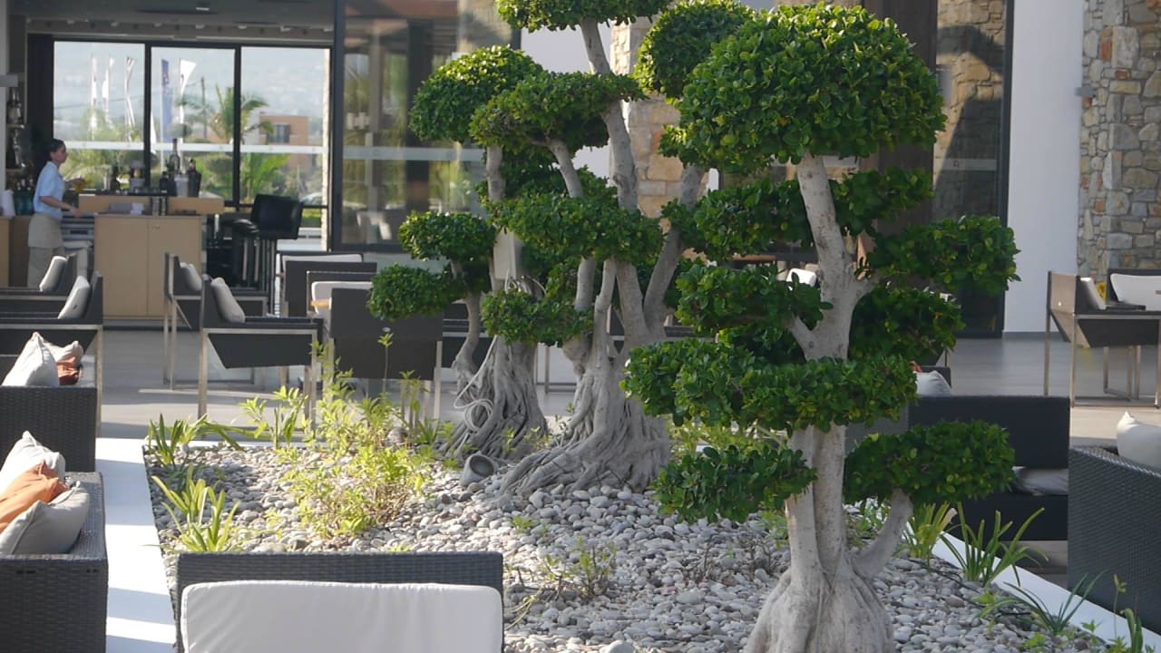 Abends schön zu sitzen.. TUI BLUE Palazzo del Mare