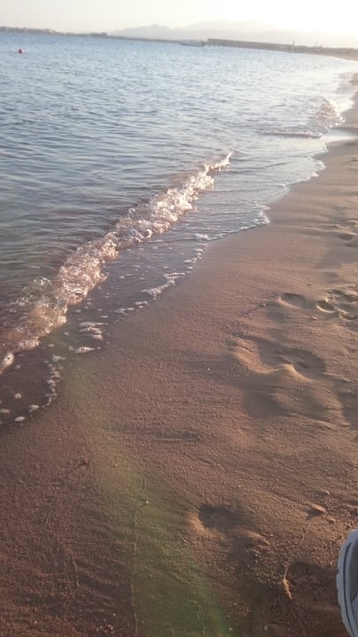 Strand Sentido Caribbean World Soma Bay