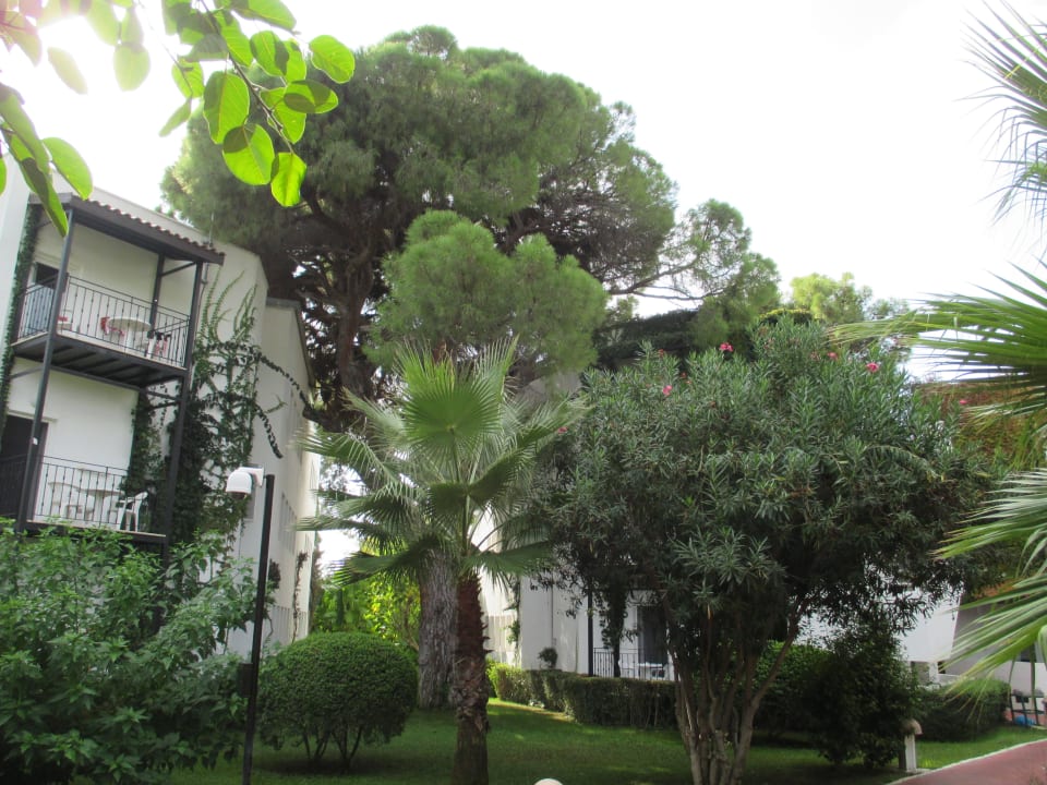 Bungalow Emelda Sun Club