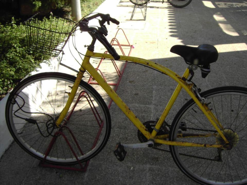 Leihfahrrad vor dem Torreblanca HSM Club Torre Blanca