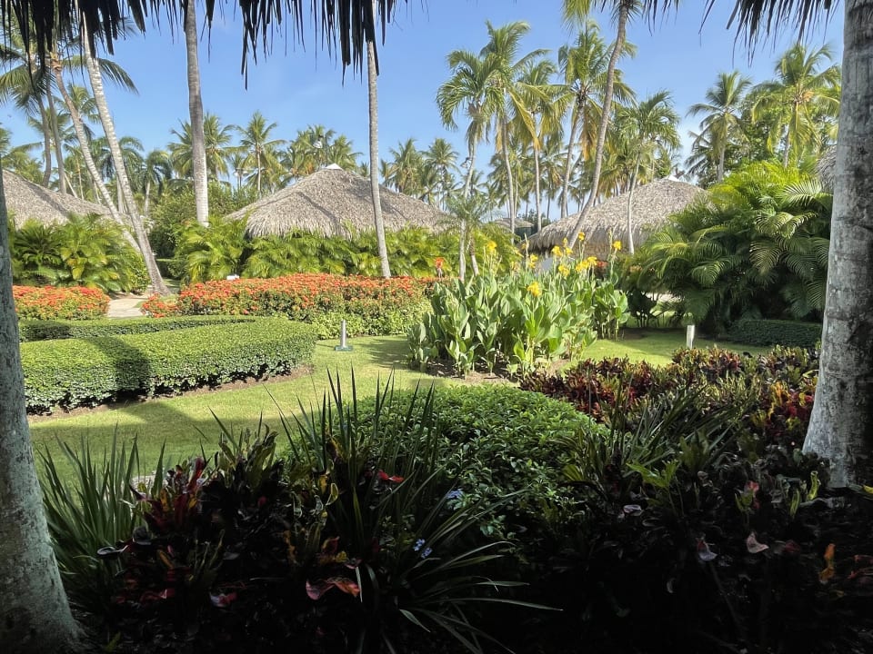 Gartenanlage Hotel Viva Dominicus Beach by Wyndham - All Inclusive Resort
