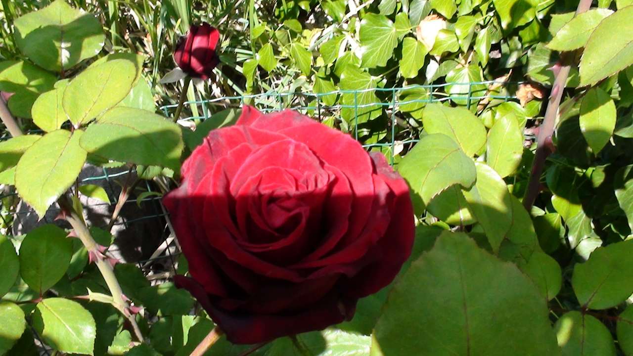 Sonstiges Ferienwohnungen Haus Möltner