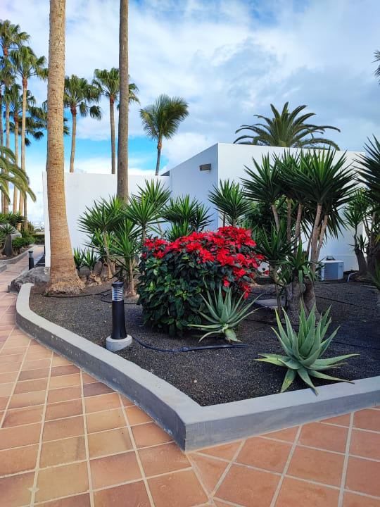 Gartenanlage Hotel Riu Paraiso Lanzarote