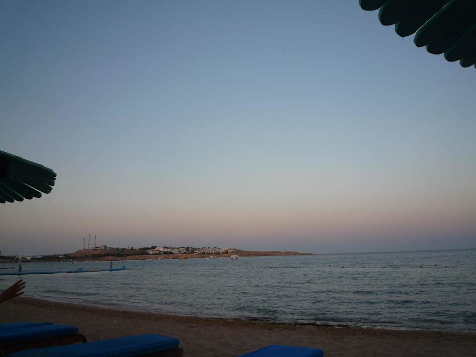 Abendstimmung Ghazala Gardens