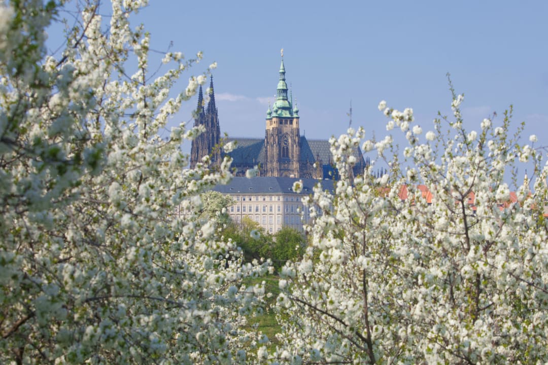 Diplomat Hotel Prague Spring Vienna House Diplomat Prague