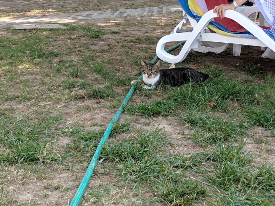 Gartenanlage Side Star Beach