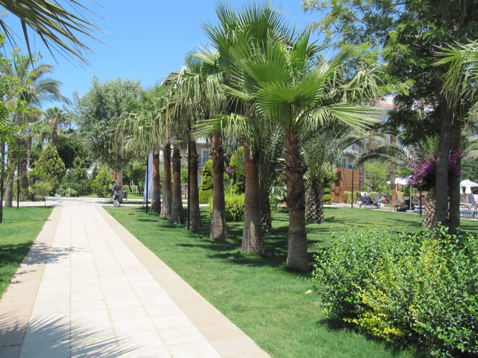 Toller Garten mit Palmen Belek Beach Resort Hotel