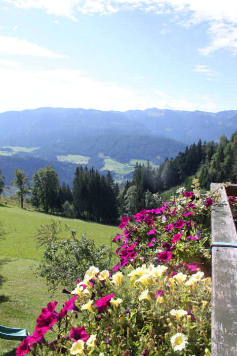Biobauernhof Kurzeck Biobauernhof Kurzeck