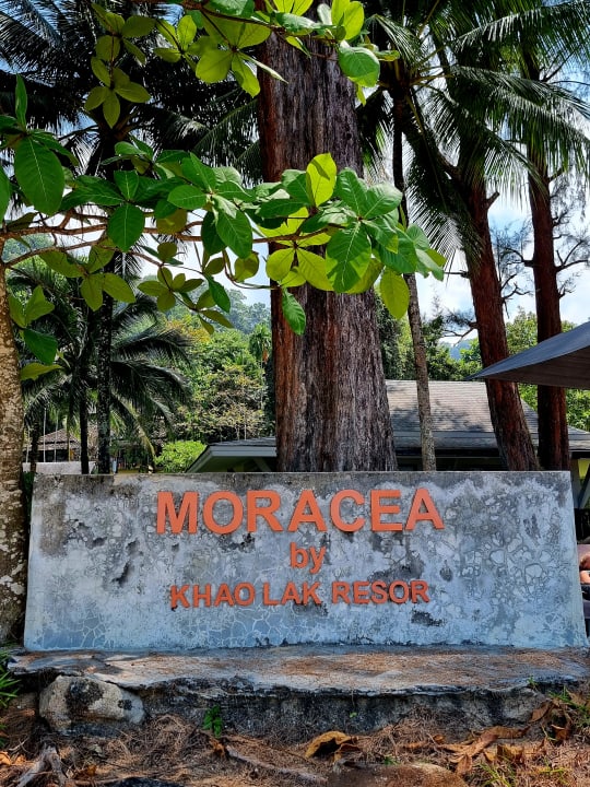 Sonstiges Moracea by Khao Lak Resort