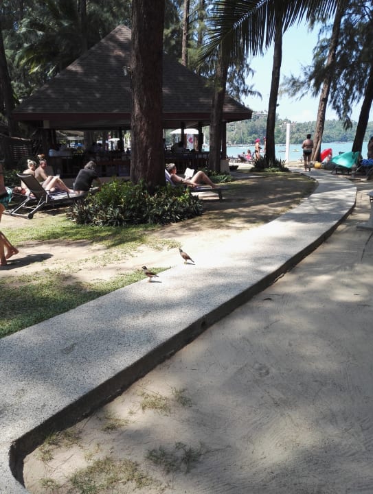 Gartenanlage Best Western Premier Bangtao Beach Resort & Spa