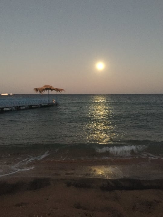 Strand Menaville Safaga