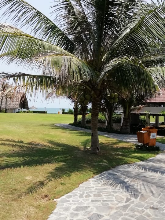Gartenanlage Hotel Muine Bay Resort