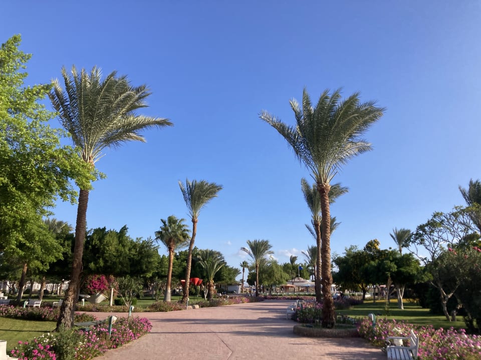 Gartenanlage Emerald Resort & Aqua Park