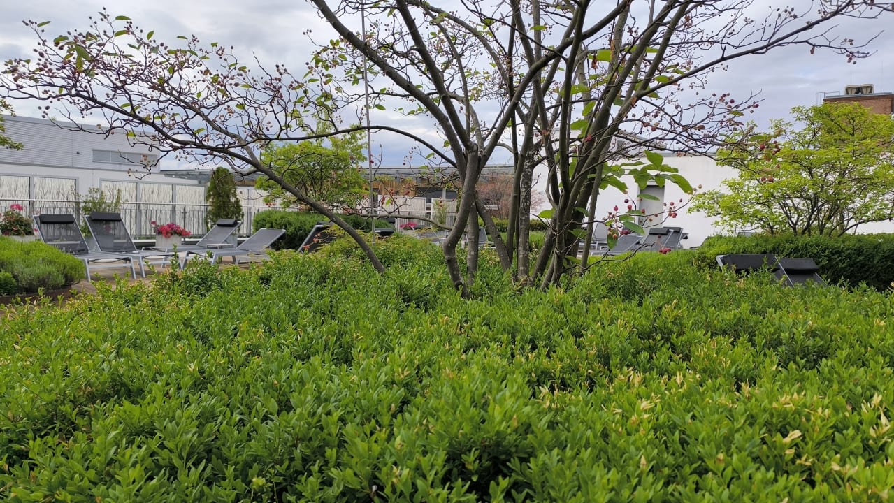 Gartenanlage centrovital Hotel Berlin