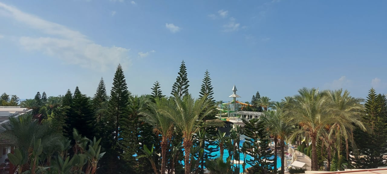 Ausblick Hotel Delphin Diva