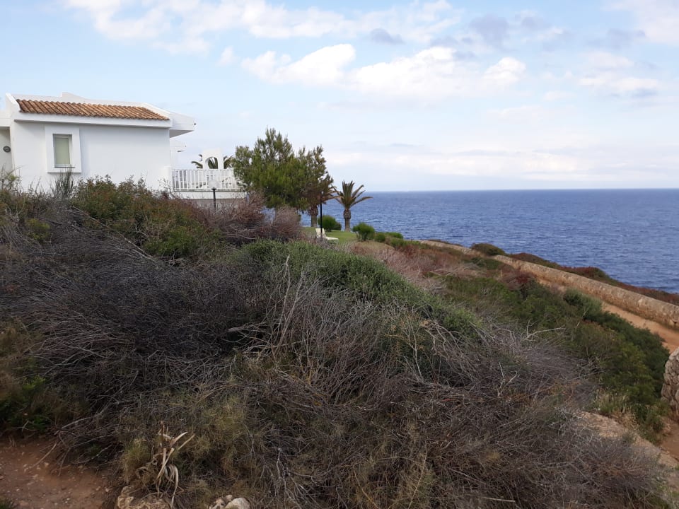 Gartenanlage blau punta reina