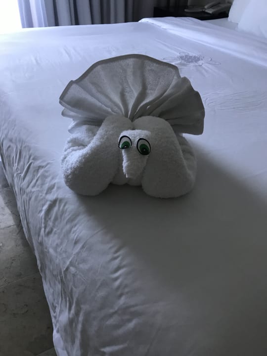 Zimmer Akumal Bay Beach & Wellness Resort