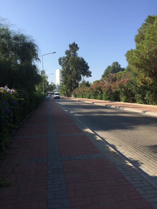 Strand Asteria Collection Side