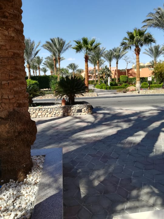 Gartenanlage Jaz Makadi Oasis Resort