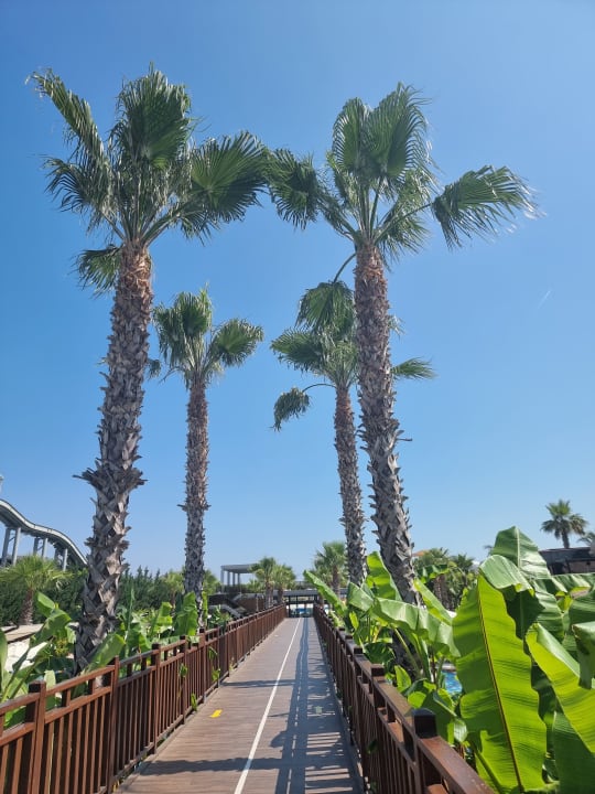Gartenanlage Saturn Palace Resort Hotel