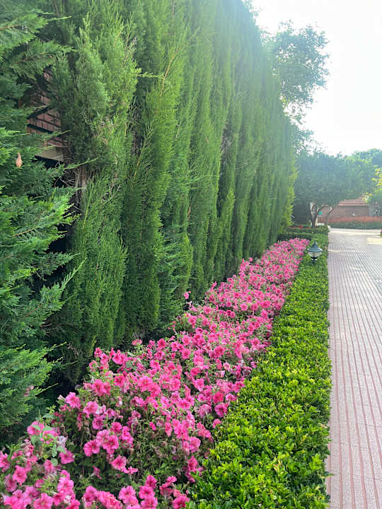 Gartenanlage Can Garden Beach