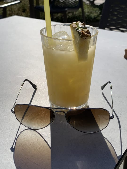 Gastro Acanthus Cennet Barut Collection