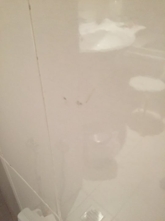 Zimmer Hotel Bel Azur Thalasso & Bungalows