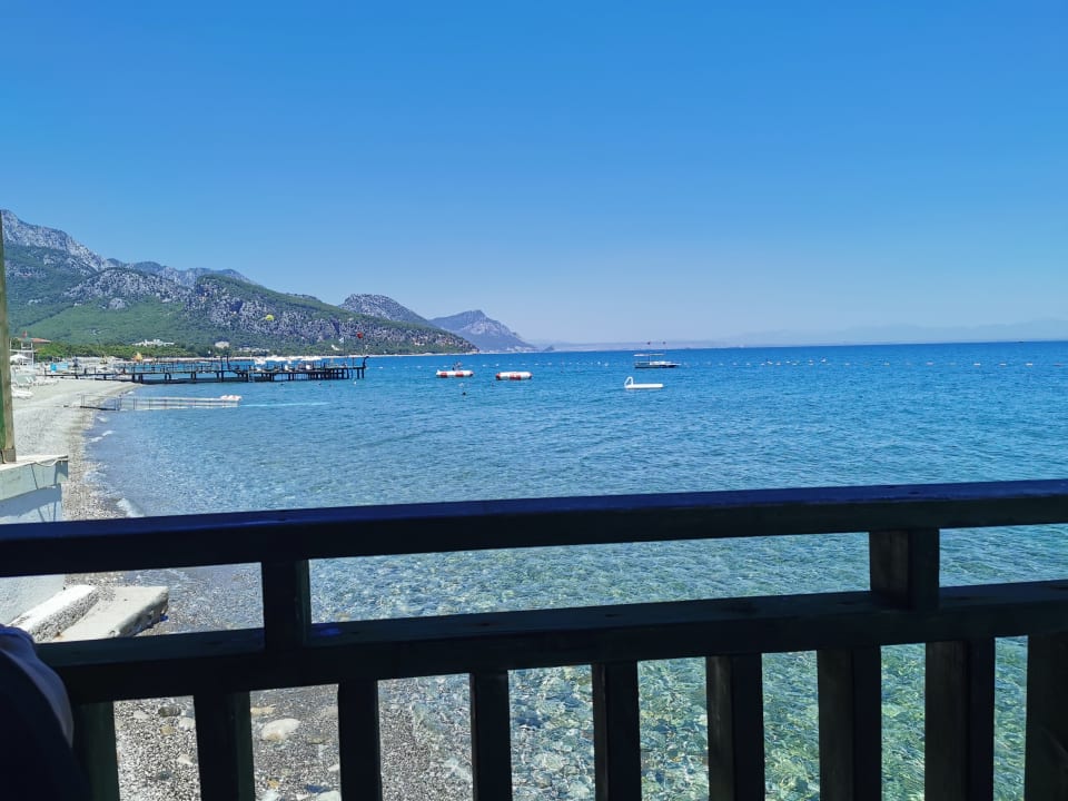 Ausblick Crystal Flora Pearl Collection