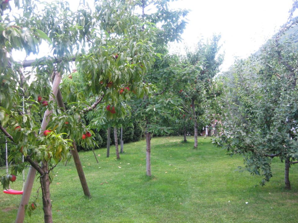 Garten Haus Zublasing